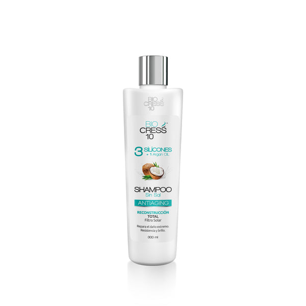 SHAMPOO 3 SILICONES + 1 ARGAN OIL 300ml